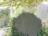 image of grave number 386800